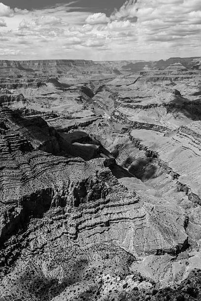 istock Overlooking the Grand Canyon 617869664