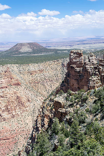 istock Overlooking the Grand Canyon 617871126