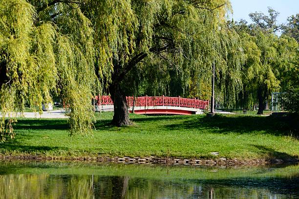 istock Belle Isle City Park 617872378