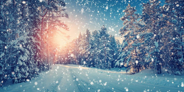 istock road in snowy winter on beautiful sunny day 617873666