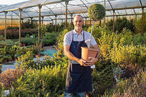 istock Gardener with a pot plant working at nursery 617875312