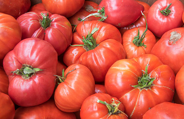 istock group of fresh red tomatoes, full frame. 617877026