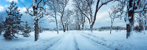istock winter road in the morning 617877452