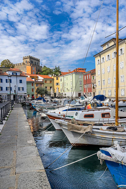 istock The marina in Muggia 617878044