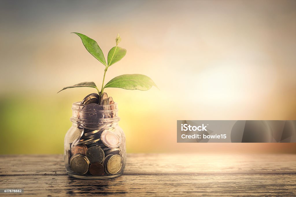 Growth of a plant - growth of a business Start-up money comparing with the bud of a future e plant  Coin Stock Photo