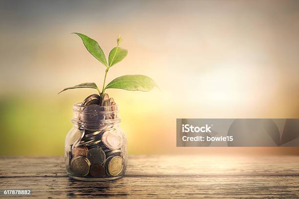 Growth Of A Plant Growth Of A Business Stock Photo - Download Image Now - Coin, Plant, Vase