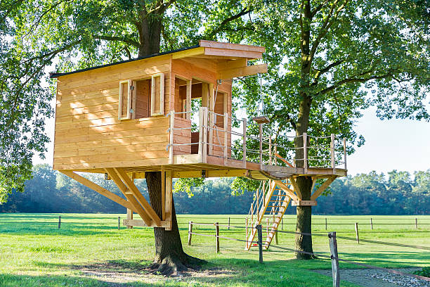 istock New wooden tree house in oak trees 617879020