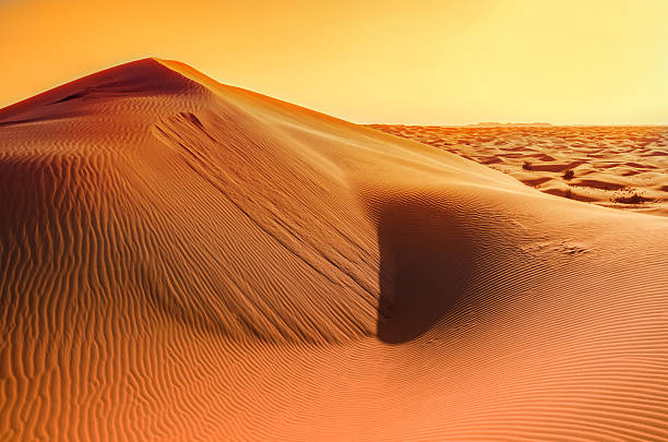 istock Sun in the sand dunes 617881034