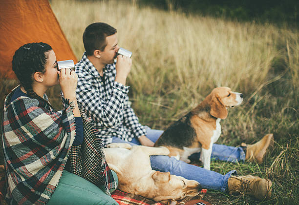 istock Drinking tea and playin with dogs 617881042