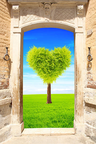 istock Ancient door and heart shape tree on green field 617881782