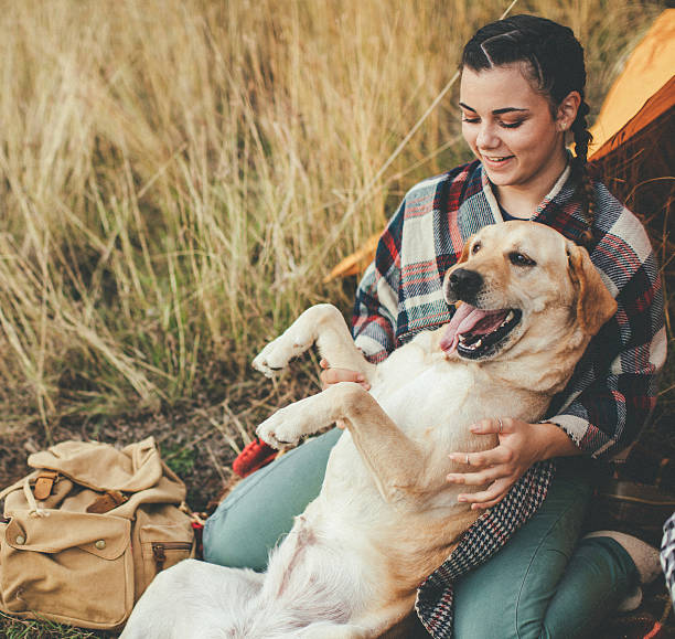 istock Couple playing with dogs 617882332