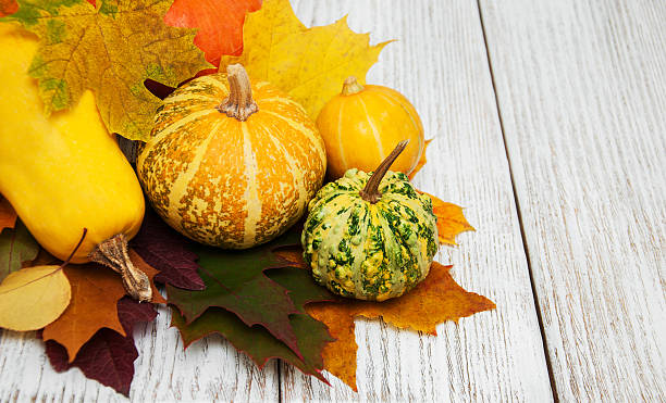 istock Pumpkins and leaves 617882520