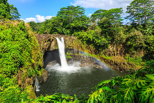 hawaii, rainbow falls a hilo. - hilo foto e immagini stock