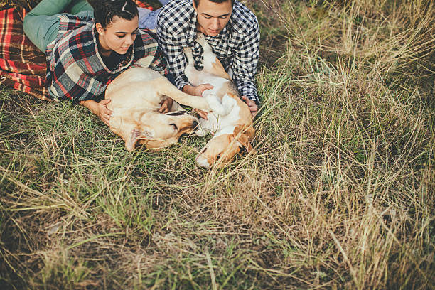 Couple having fun with their dogs on romantic camping