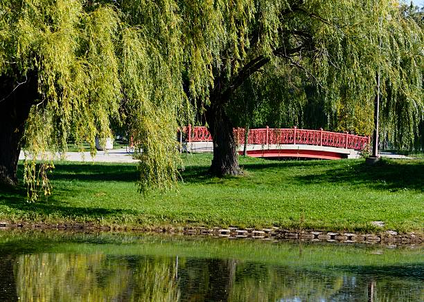 белль-айл детройт сити парк - belle river стоковые фото и изображения