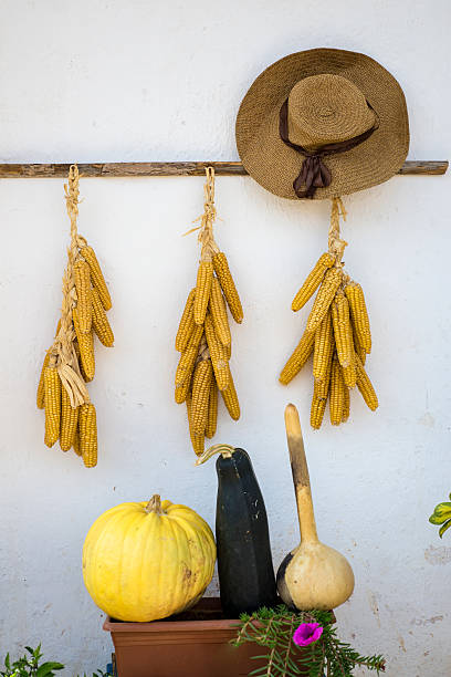 istock hanging on the wall corn and pumpkin 617885158