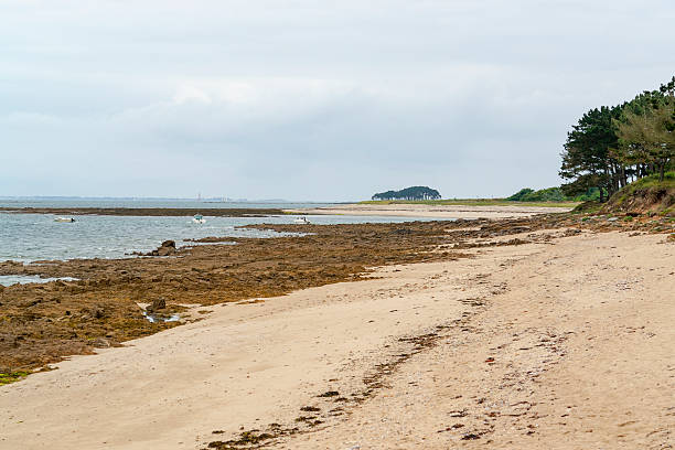 istock Gulf of Morbihan 617886260