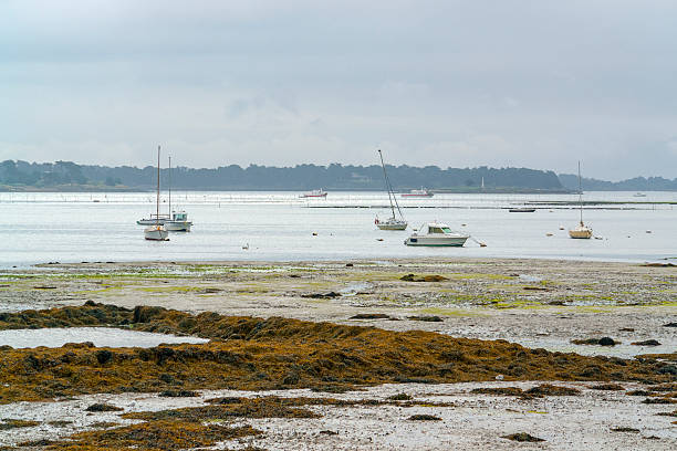 istock Larmor-Baden in Brittany 617887242