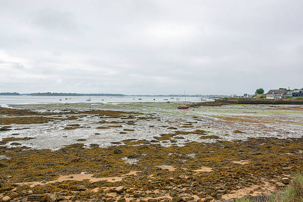 istock Larmor-Baden in Brittany 617887360