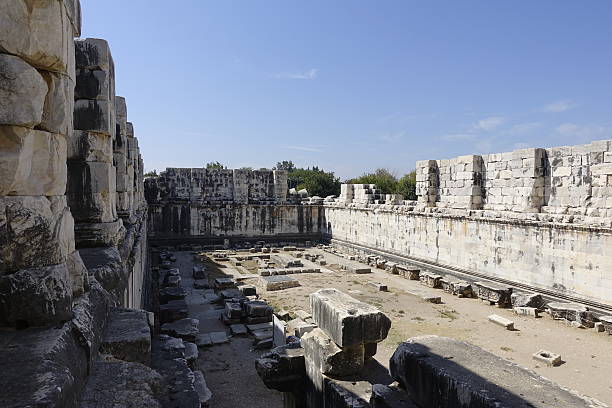 vista del templo de apolo en la antigua ciudad de didyma - 1408 fotografías e imágenes de stock
