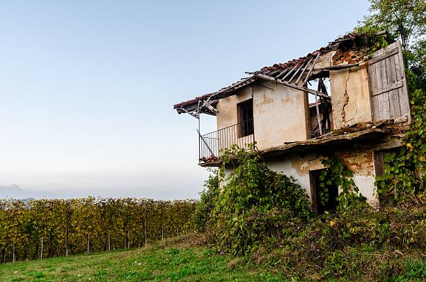 istock Ruins of an abandoned farm 617890722