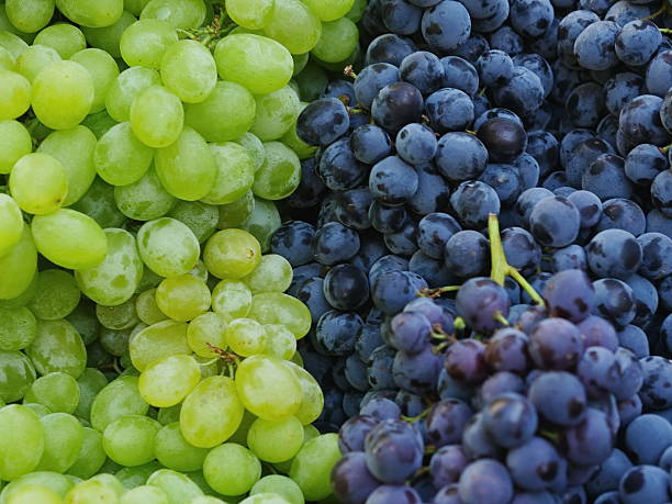 istock market red wine grapes 617892654