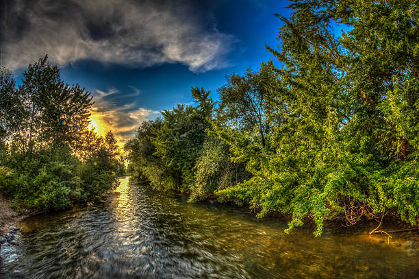 fiume boise greenbelt - boise river foto e immagini stock