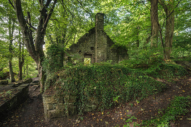 istock Spooky old ruined derelict building in thick forest landscape 617895498
