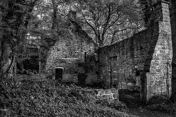 istock Spooky old ruined derelict building in thick forest landscape in 617895564