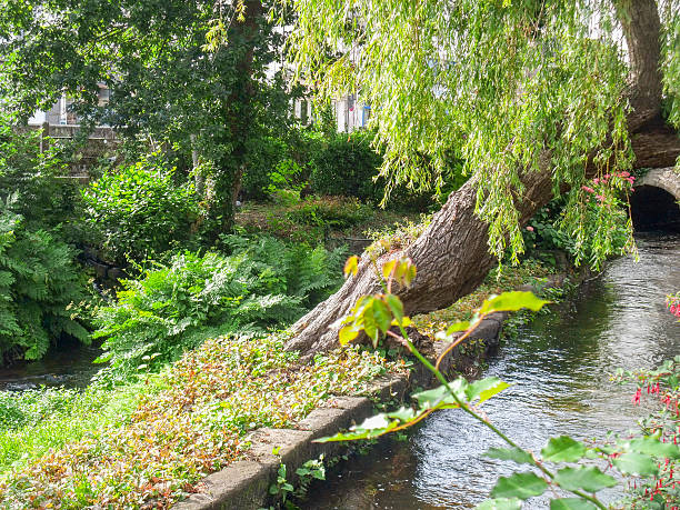 istock Aven river at Pont-Aven in Brittany 617897136