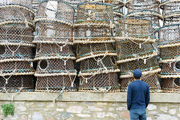 Man looks at lobster cages stock photo