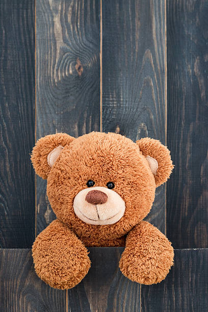 Cute teddy bear stock photo