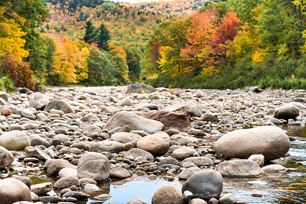 river with stones in the white mountain forest - vermont
