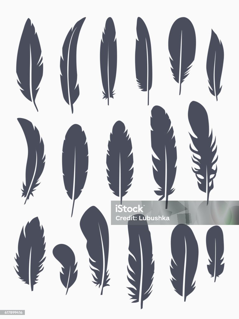 Vector set of feather Vector group of feather. Silhouette set icons Feather stock vector