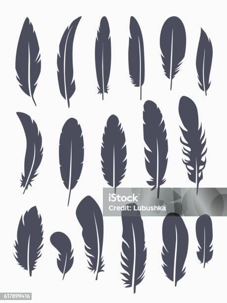 Vector Set Of Feather Stock Illustration - Download Image Now - Feather, In Silhouette, Pattern