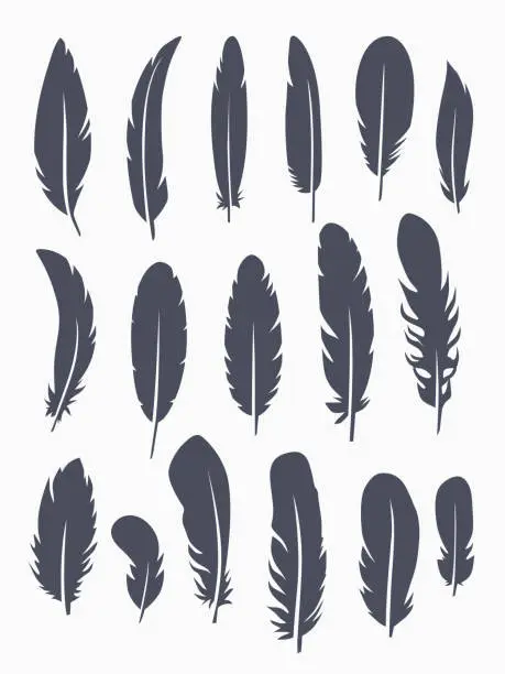 Vector illustration of Vector set of feather