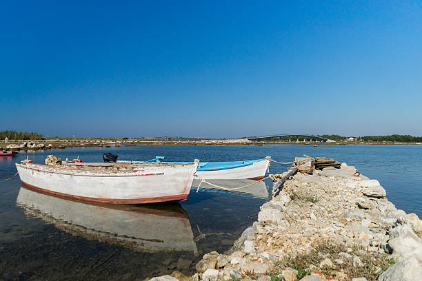 istock Island Vir, Croatia 617901544