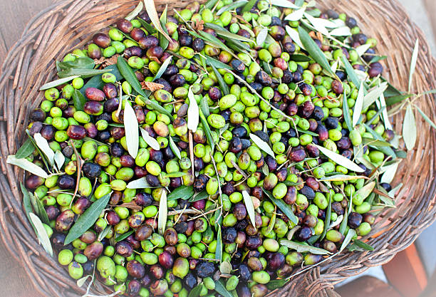istock Basket With Ripe Olives 617905588