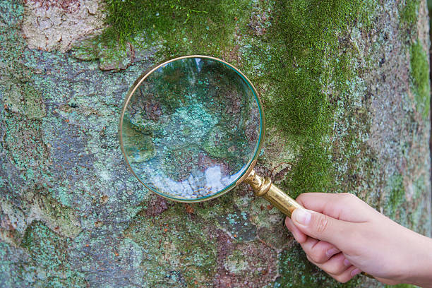 istock I'm always looking for the true love 617906098