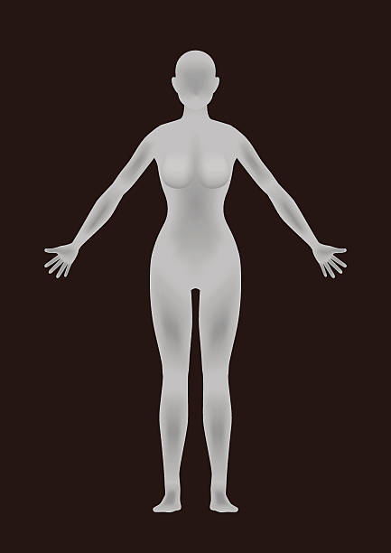 illustrations, cliparts, dessins animés et icônes de silhouette du corps de la femme - corps de femme en transparence