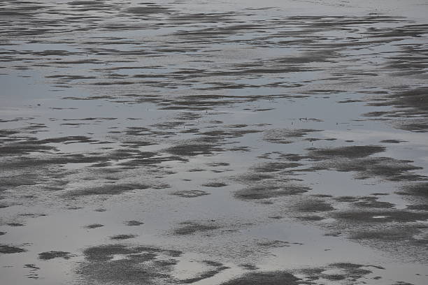 istock Shallow bay at low tide 617909518