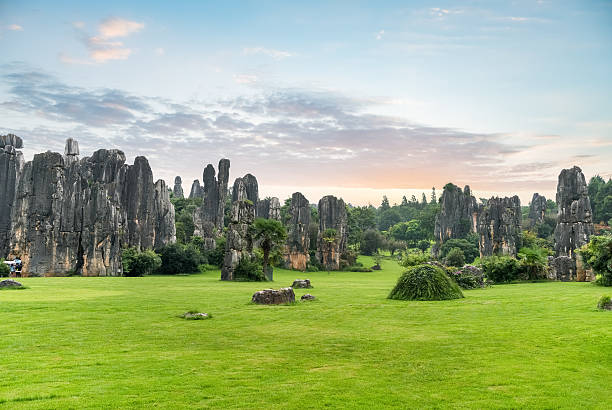 bosque de piedra panorámica - formación karst fotografías e imágenes de stock