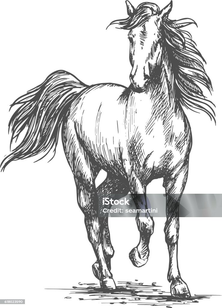 White horse freely running portrait White horse running free gait. Wild mustang stallion walks against wind with waving mane and tail. Vector sketch portrait Horse stock vector