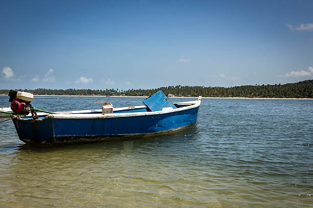 Carneiros beach in Porto de Galinhas, Recife, Pernambuco - Brazil