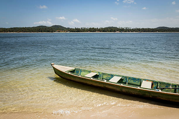 Carneiros beach in Porto de Galinhas, Recife, Pernambuco - Brazil
