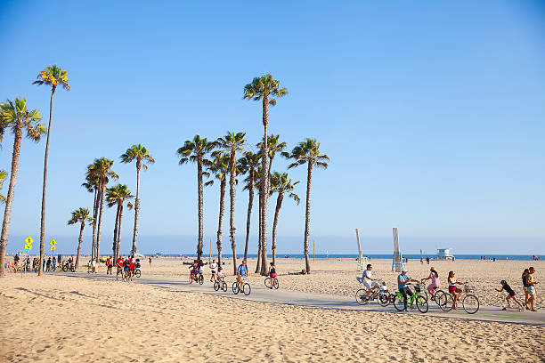 riding bikes on a sunny day in santa monica beach - santa monica beach beach city of los angeles los angeles county imagens e fotografias de stock