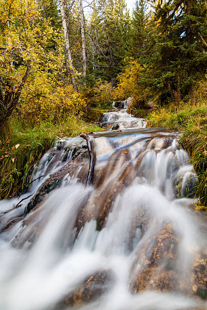 istock Bill Hill Springs Provincial Park, Alberta, Canada 618024904