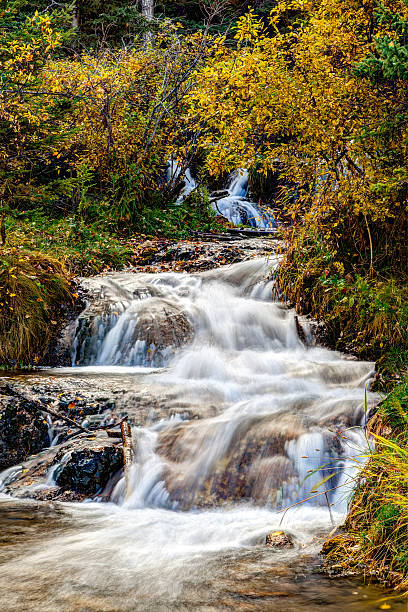 istock Bill Hill Springs Provincial Park, Alberta, Canada 618024974