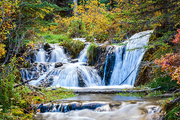 istock Bill Hill Springs Provincial Park, Alberta, Canada 618025142