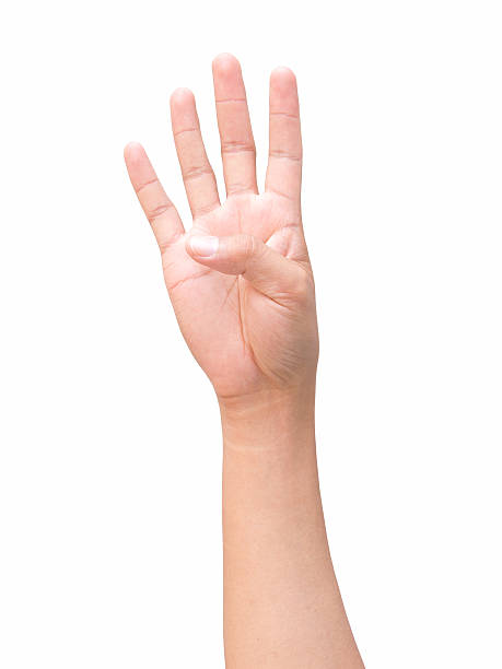 istock right hand a man show the fourth, number four sign 618025368